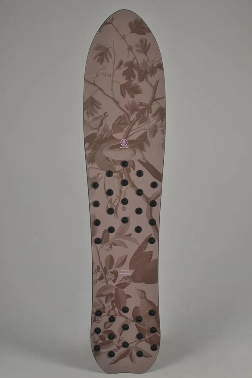 Burton FT Backseat Driver Snowsurfer Snowboard