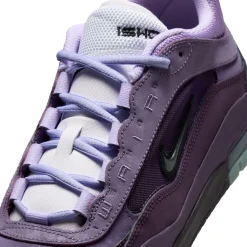 Nike SB Nike Air Max Ishod