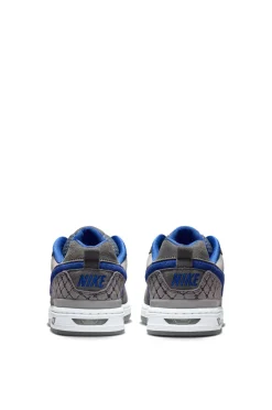 Nike SB Paul Rodriguez Zoom Air Low Dg