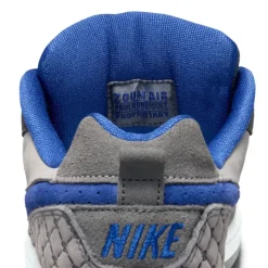 Nike SB Paul Rodriguez Zoom Air Low Dg
