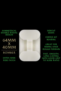 Powell Peralta 88a Dragon Formula 64x40mm