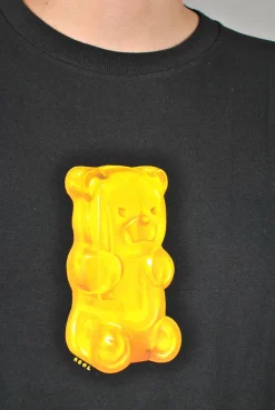 Real Skateboards Fun Bear T-shirt